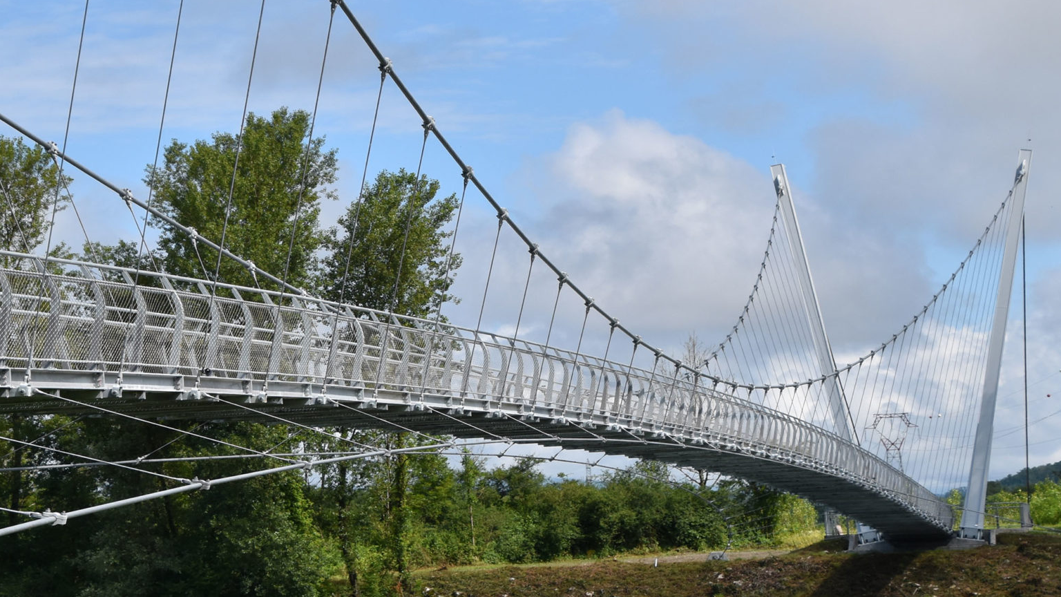 Elevating Our Expertise: Creation of the Specialized Products Department